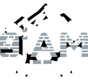 9LAM emblem